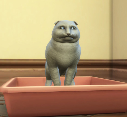 anakel13ts4stuff