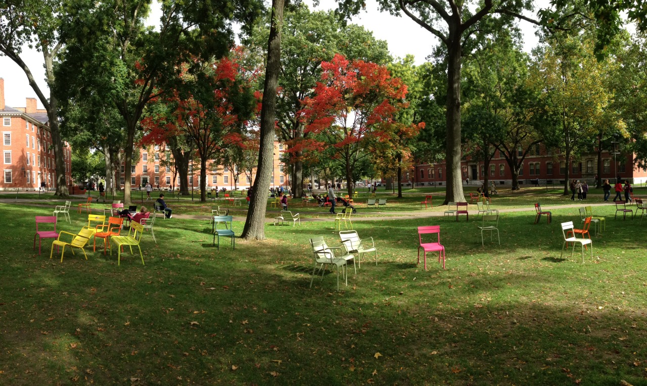 Mike Burke Registrar Autumn Colors In Harvard Yard Are