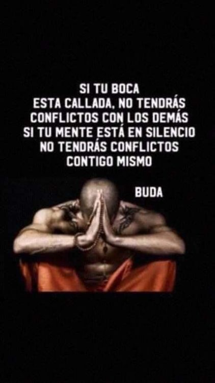 Las Mejores Frases De Reflexión Que Te Harán Pensar Sobre La Frases De Sarcasmo