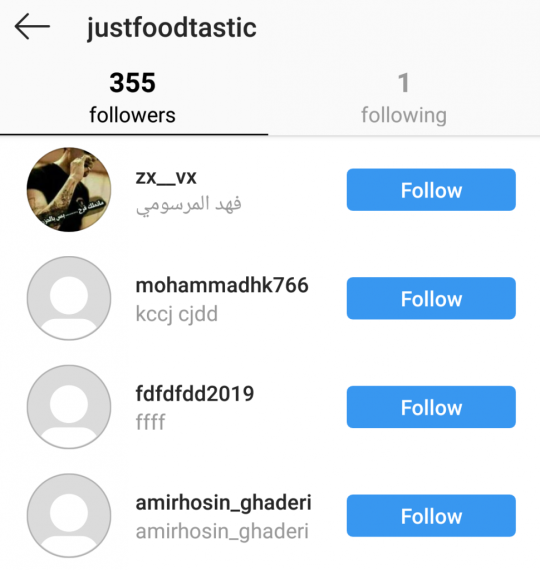 Instagram fake followers 