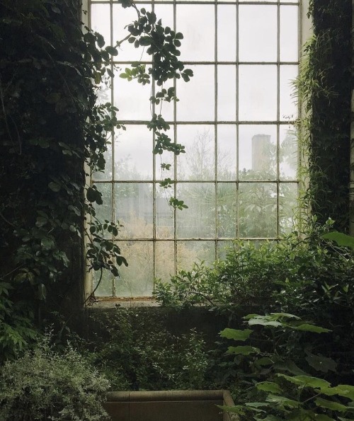 myfairylily:Botanical Garden, Edinburgh