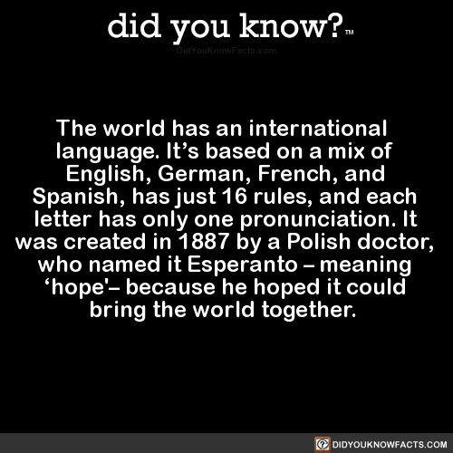 the-world-has-an-international-language-its