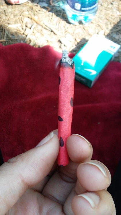 mindsetofdelinquents:Watermelon joint