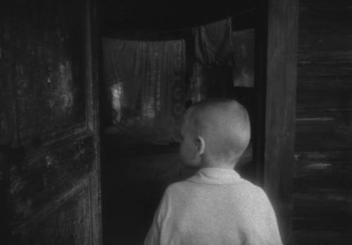 alexalleshater:Mirror (1974) - by Andrei Tarkovsky