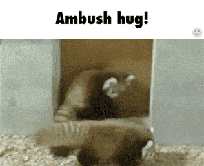 hugging gif on Tumblr