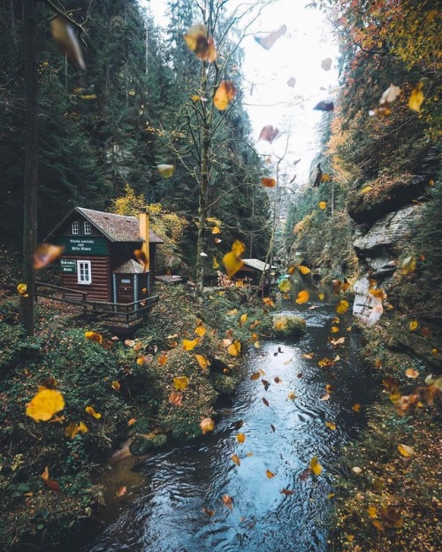 autumncozy:By bokehm0n