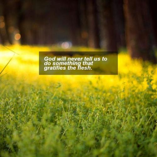 inspirational-quotes-motivation