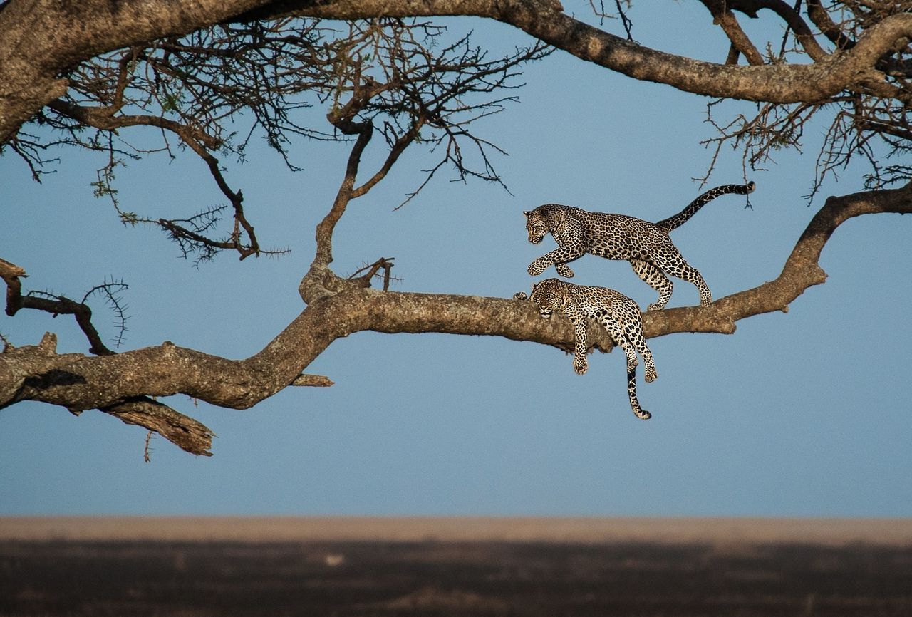 Editors' Spotlight -- National Geographic Your Shot