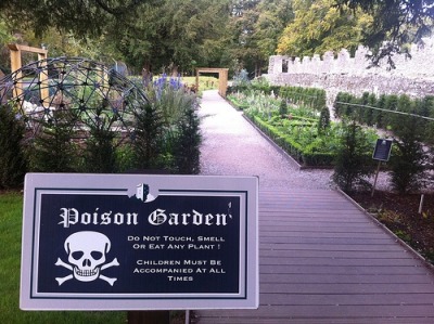 Garden Of Death Tumblr