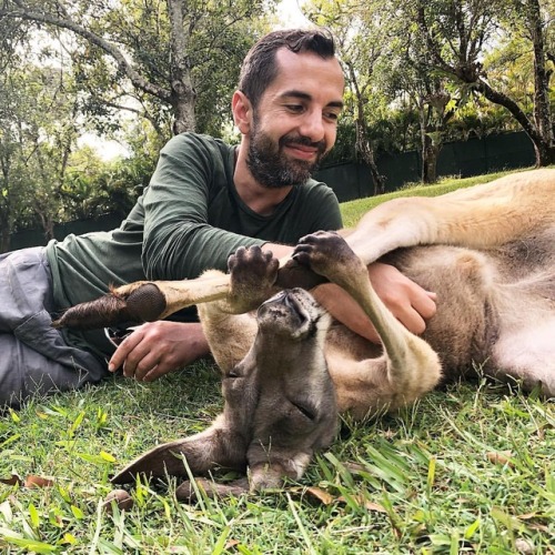 Cricket!! This kangaroo got a heartfelt tummy rub at Australia...