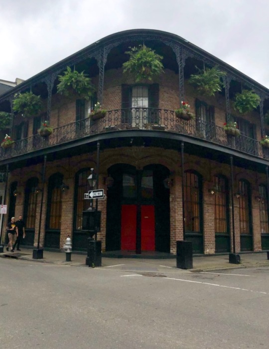 French Quarter Home Tumblr