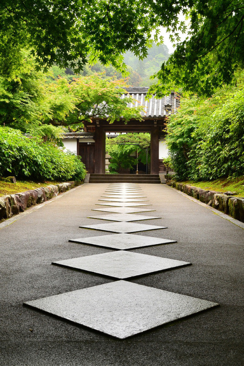 iesuuyr:Kyoto, Japan | Alexandru...