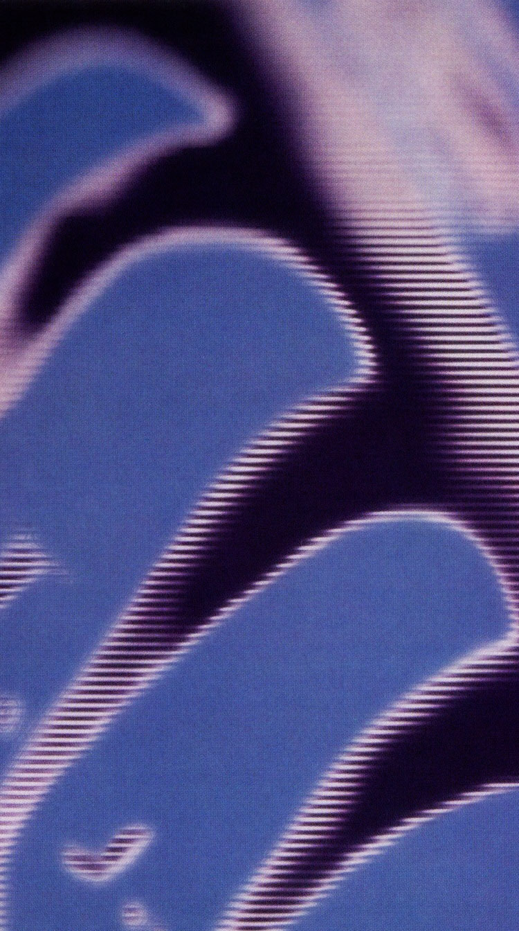 Nin Wallpaper Nin Wallpaper