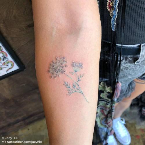 By Joey Hill, done in Los Angeles. http://ttoo.co/p/34909 facebook;flower;illustrative;inner forearm;joeyhill;medium size;nature;queen anne s lace;twitter