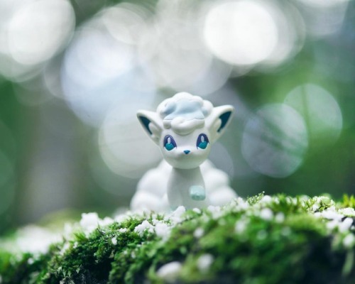 retrogamingblog:Pokemon Figure Photography by KittyKollect