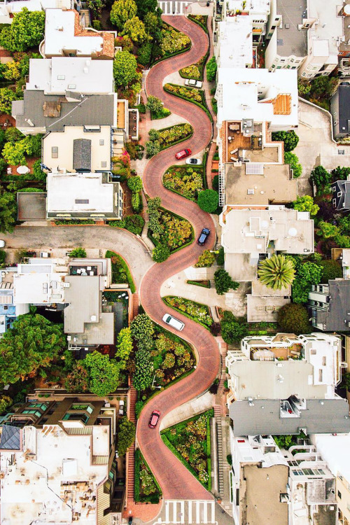 skinny-dipping-professional:cityrulers:Lombard Street. San...