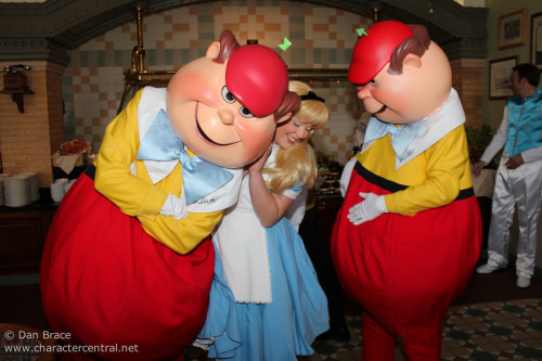 tweedle dee and tweedle dum on Tumblr