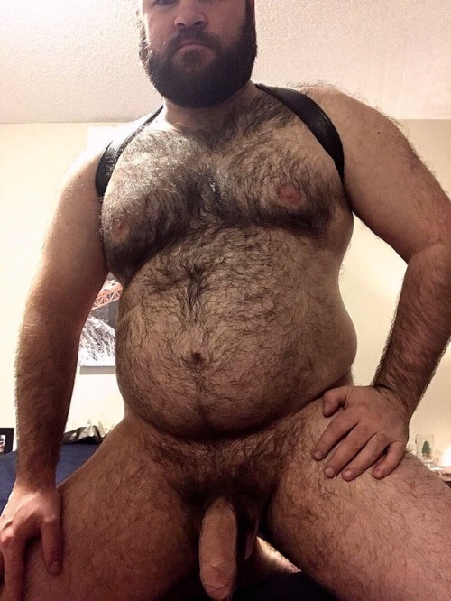 theallbestofhairychestbear:The Hairy Gay Bear...