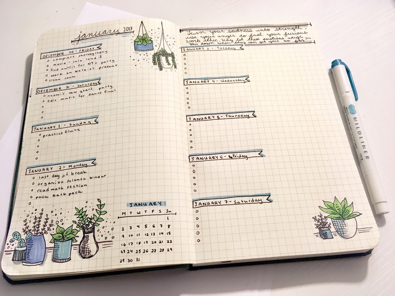 study / create — Bujo spread: December 30-January 7🌿 this spread...