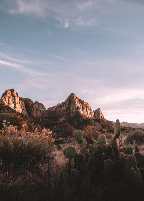 jasonincalifornia:Zion SunsetInstagram<>Society6