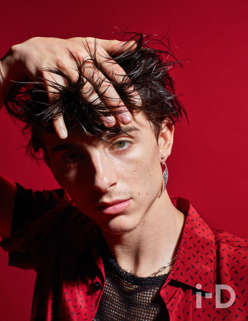 christos:Timothée Chalamet by Mario Sorrenti – i-D (Winter...