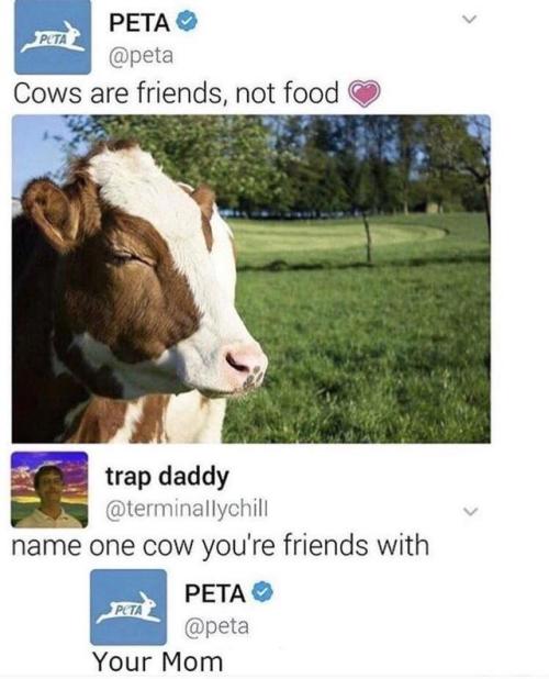 browsedankmemes:Son of a cow via /r/memes https://ift.tt/2NoyahK