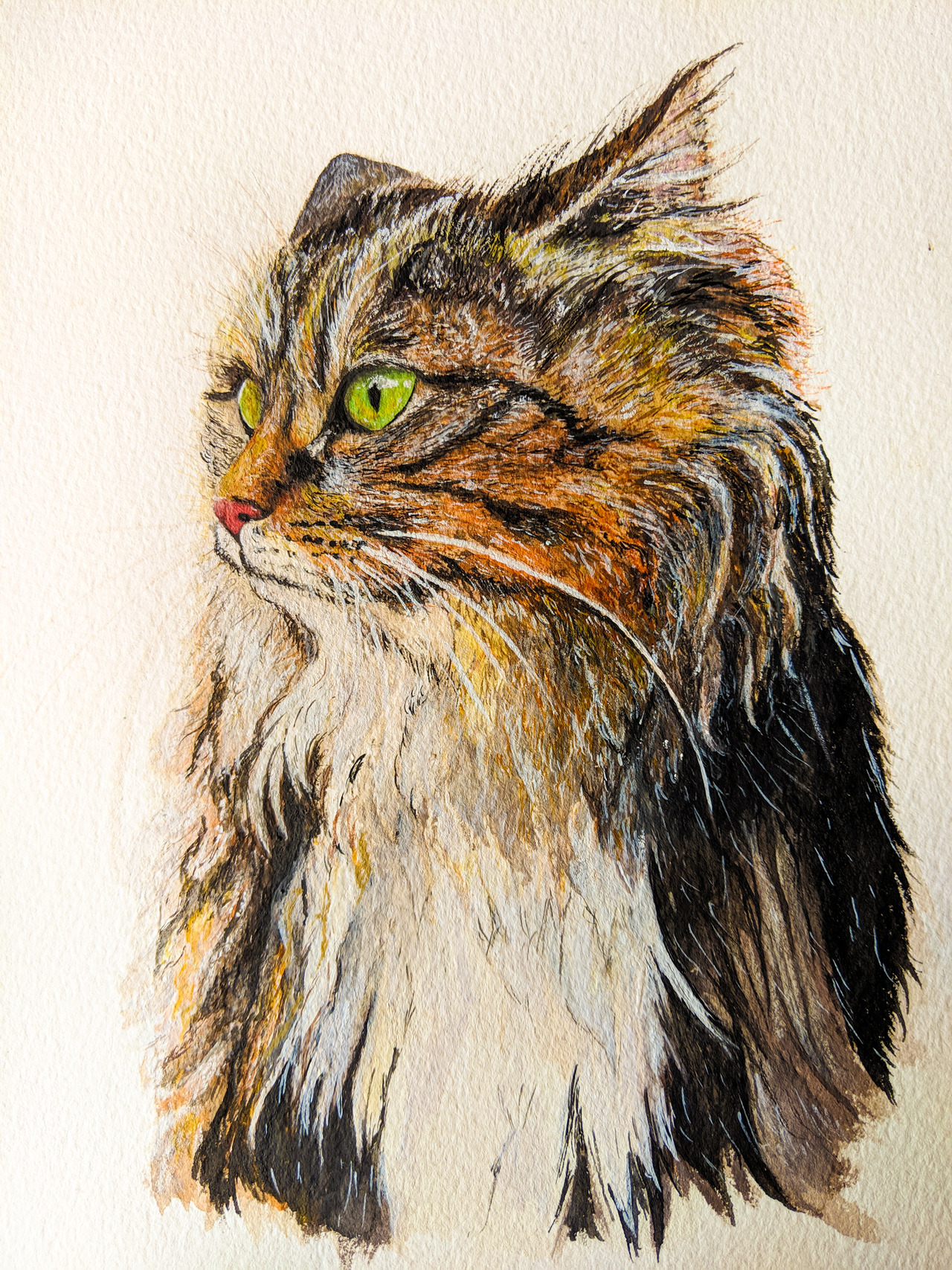 7x10’’, Detailed Watercolor painting of Maine Coon Cat by Zaiguu