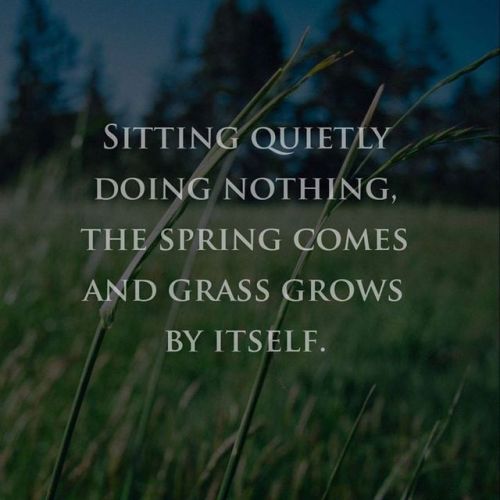 wectar:Sitting quietly doing nothing, the spring comes and grass...