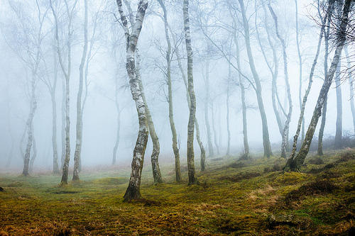 ponderation:Onlookers by James Mills                  &