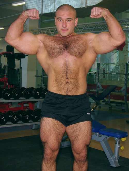 Musclebears & Co.