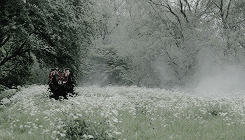 BRYCE + no more sweet songs Tumblr_nnfdn62TJ61u0ac63o1_r1_250