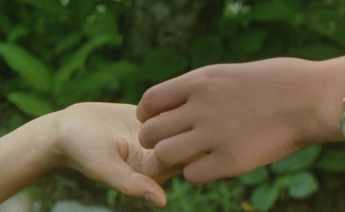 aixatumbrl:Moe no suzaku | Naomi Kawase | 1997