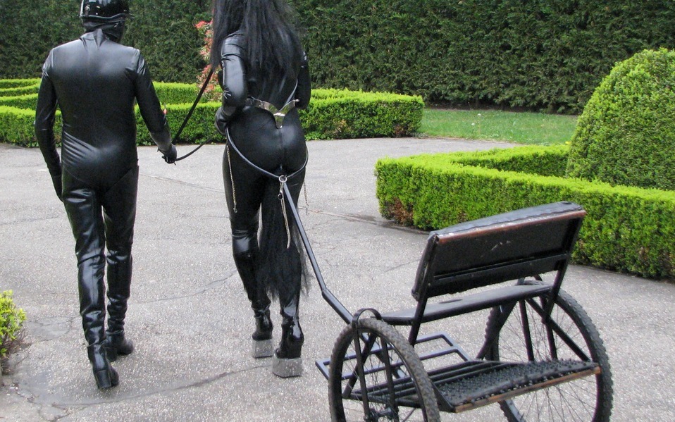 Ponyplay