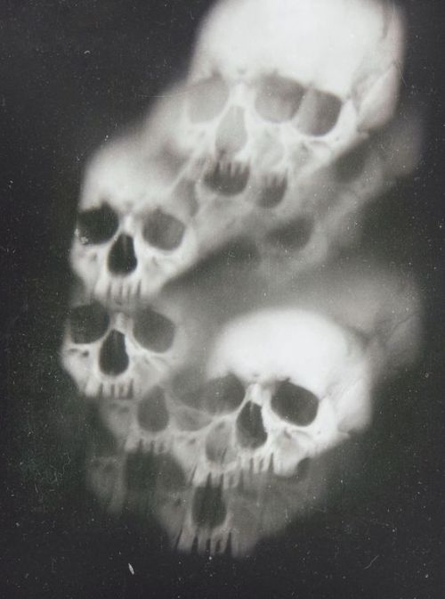 backwrdblackbrd:SedlecBy Nona Limmen