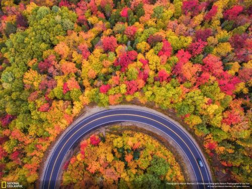 Finalists From The 2016 National Geographic Nature...