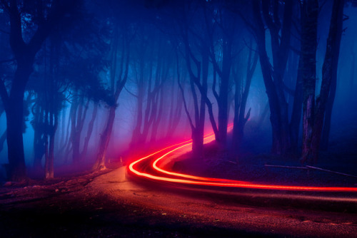 te5seract:Sintra light II & Neon Forest byJames...