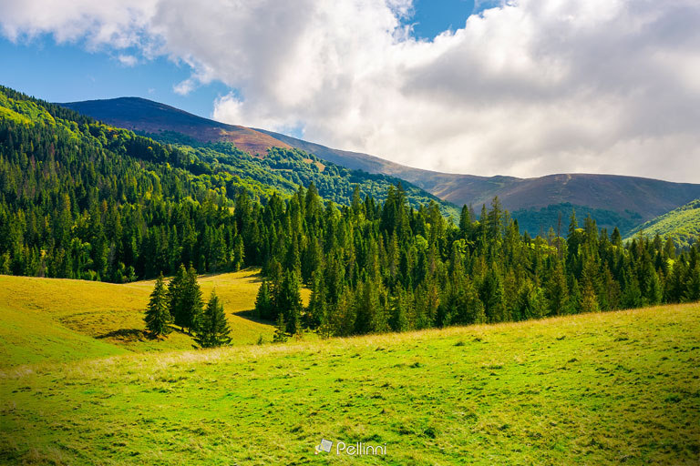 Pellinni Photography — Beautiful landscape in Fagarasan mountains-171803...