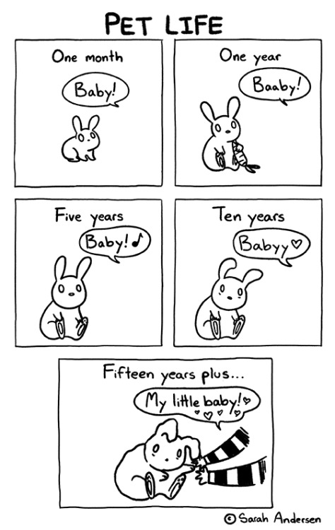 tastefullyoffensive:by Sarah Andersen