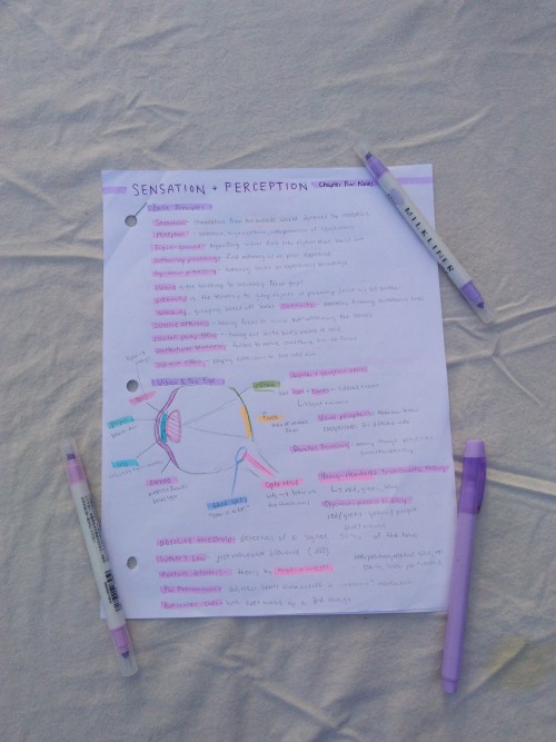 studieswithrose