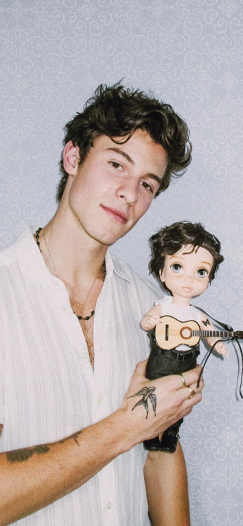 shawnmendesicons