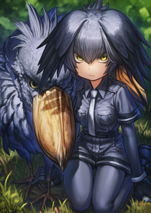 oh-you-udon:ハシビロコウ/Shoebill