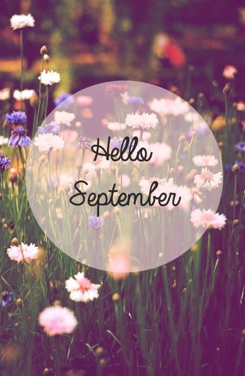 hello september on Tumblr