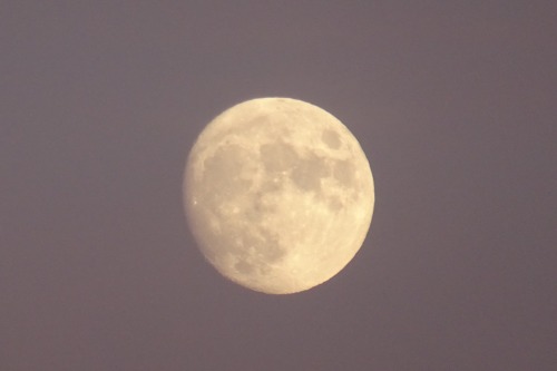 astronemma:Yesterday’s Moonrise. 