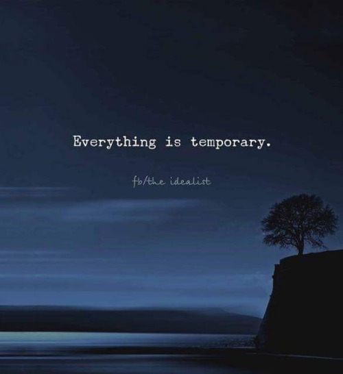 everything is temporary on Tumblr