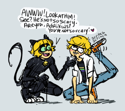 ladyblargh:ladyblargh:i really wanted a scene where chat noir...