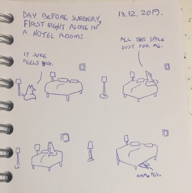 Extra comics: My surgery journal!