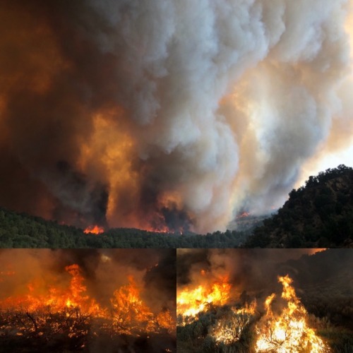 Wednesday afternoon blowup at the #redcanyonfire