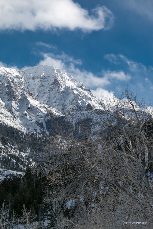 riverwindphotography:Alpine Beauty: Absaroka Mountains,...