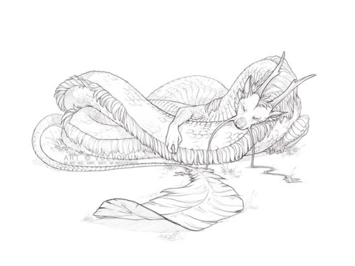 volvokun:A comfy eastern dragon for Jones.tjm !—WEBSITE |...