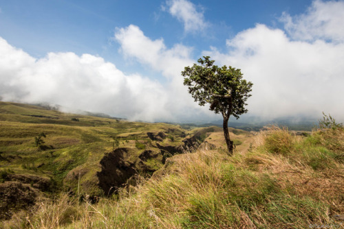 medhasni:Mt Rinjani Lombok, 10/2017 (Indonesia 9th step in my...